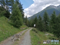 IMG_20200726_145656