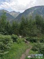 IMG_20200726_150636