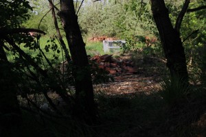 IMG_3259