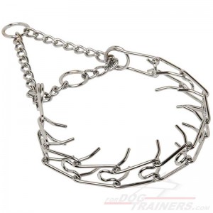 chrome-plated-dog-pinch-collar-big