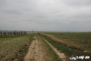 IMG_0122