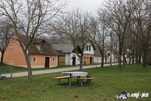 IMG_0157