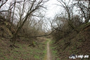 IMG_0213