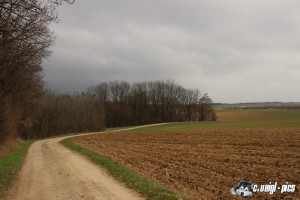 IMG_0235