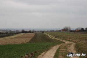 IMG_0280
