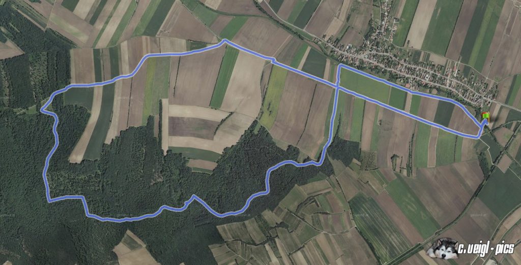 Hüttenberg 10.5km