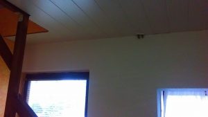 IMAG1194