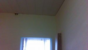 IMAG1195