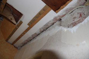 IMG_2502