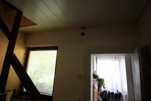 IMG_2534