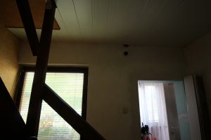 IMG_2535