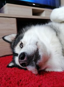 Foto des Monats